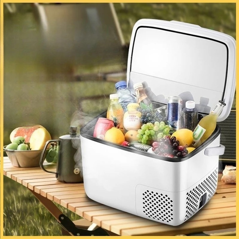 220 V/12 V/24 V Auto Koelkast  - Outdoor Furniture Zone recensie en prijs