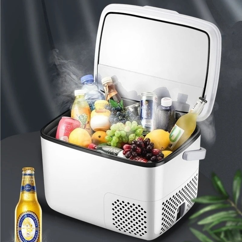 220 V/12 V/24 V Auto Koelkast  - Outdoor Furniture Zone recensie en prijs